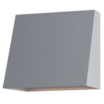 Pathfinder Outdoor Wall Sconce - Silver