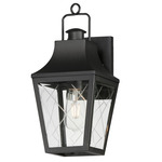 Storybook Outdoor Wall Light - Black / Clear