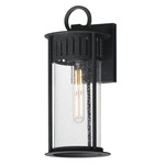 Windsor Outdoor Wall Light - Black / Clear Seedy