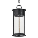 Windsor Outdoor Pendant - Black / Clear Seedy