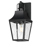 Storybook Outdoor Wall Light - Black / Clear
