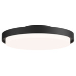 Float Wall/ Ceiling Light - Black