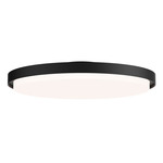Float Wall/ Ceiling Light - Black