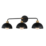 Thelonious Bathroom Vanity Light - Aged Brass / Black