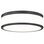 Ballord Ceiling Light - Matte Black / Frosted