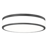 Ballord Ceiling Light - Matte Black / Frosted