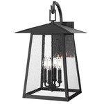 Rainer Outdoor Wall Sconce - Black / Clear Seedy