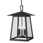 Rainer Outdoor Pendant - Black / Clear Seedy