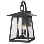 Rainer Outdoor Wall Sconce - Black / Clear Seedy