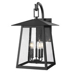 Rainer Outdoor Wall Sconce - Black / Clear Seedy