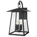 Rainer Outdoor Wall Sconce - Black / Clear Seedy