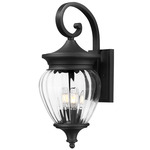 Davina Outdoor Wall Sconce - Black / Clear Ribbed