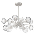 Mesa Oval Starburst Chandelier - Beige Silver / Mesa Clear