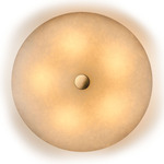 Magma Wall / Ceiling Light - Brass / Polar White