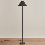Eave Floor Lamp - Overstock - Black / Black Shade