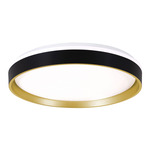 Rana Color-Select Ceiling Light - Black / Frosted