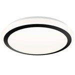 Ora Color-Select Ceiling Light - Black / Frosted