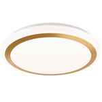 Ora Color-Select Ceiling Light - Gold / Frosted