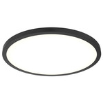 Delta Color Select Round Outdoor Wall / Ceiling Light - Black / Frosted
