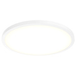 Delta Color Select Round Outdoor Wall / Ceiling Light - White / Frosted