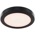 Radiance Color-Select Ceiling Light - Black / White