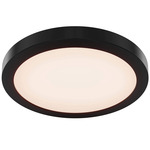 Radiance Color-Select Ceiling Light - Black / White