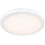 Radiance Color-Select Ceiling Light - White / White