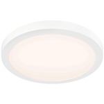 Prime Color-Select Ceiling Light - White / Frosted