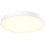 Fusion Color-Select Ceiling Light - White / Frosted