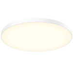 Fusion Color-Select Ceiling Light - White / Frosted