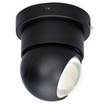 Nodes Color-Select Ceiling Spot Light - Black