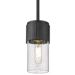 Bolivar Small Stem Pendant - Matte Black / Seedy