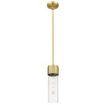 Bolivar Stem Pendant - Brushed Brass / Seedy