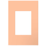 Adorne 1-Gang Plus Size Screwless Wall Plate with Microban - Peachy