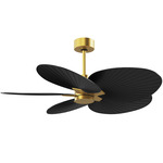 Alessandra Tropical Ceiling Fan - Brushed Brass / Matte Black
