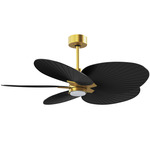 Alessandra Tropical Ceiling Fan - Brushed Brass / Matte Black