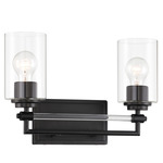 Binsly Bathroom Vanity Light - Coal / Clear