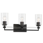 Binsly Bathroom Vanity Light - Coal / Clear