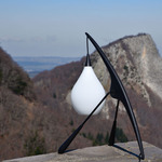 Phasme Table Lamp - Black Ash / Opal