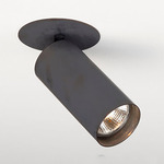 Victor C1 Adjustable Spot Light - Bronze