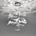 Chlorophilia 2 Suspension - Overstock - Polished Aluminum / Transparent