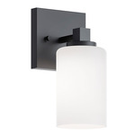 Leo Wall Sconce - Black / White