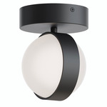Verona Color-Select Ceiling Light - Black / White