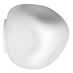 Hoba Wall / Ceiling Light - White