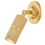 Truett Wall /Ceiling Spot Light - Aged Brass