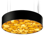 Spiro Pendant - Matte Black / Yellow