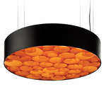 Spiro Pendant - Matte Black / Orange