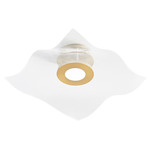 Medusa Color-Select Ceiling Light - Aged Brass / Clear Moire