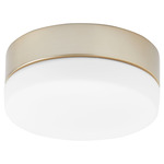 Allegro LED Light Kit - Aged Brass