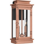 Noelle Outdoor Wall Lantern - Aged Copper / Clear
